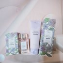 블로썸헤어 - 동구 동화천로 390 | 포레타 스무스 헤어 리페어밤 & 블로썸 퍼퓸 헤어미스트 사용후기, 향기까지 만족한 퍼퓸헤어미스트!