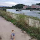 금호강변로 이미지