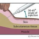 길종합동물병원 이미지