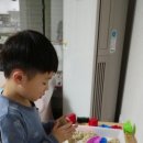 강민농장 이미지