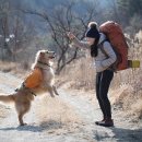 고트래블 이미지