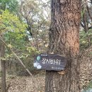 일산고봉고봉1 이미지