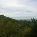 석모도자연휴양림 이미지