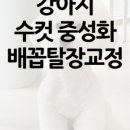 동물병원예지 이미지