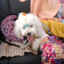 백록동물병원 이미지