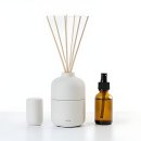 카페 사월오일 | 도심 속 힐링 오아시스 발견! 봄의 생명력 충전 완료 후기