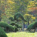 풍경이 머무는 곳 이미지