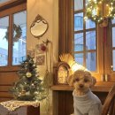 산본 코지맨션(cozymansion) 카페 후기