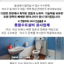 부성자동차공업사 이미지