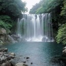 천제연폭포 이미지