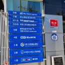 젊은이치과의원 | 30대 중반의 매복 사랑니 발치 후기, 사랑이아프니치과 홍대점