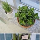 위너스 | 마곡세무사 마곡세무사 위너스 세무회계 후기