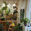 카페 사월오일 이미지