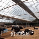 본산농장 이미지