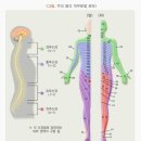 대상포진·통풍진단특약 (무배당, 해약환급금 미지급형)[신한(간편가입) 통합건강보험 ONE더우먼 (무배당, 해약환급금 미지급형)] 이미지