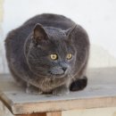 위즈동물병원 이미지