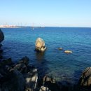 북삼초교 이미지