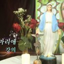 세나투스주