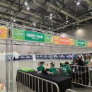 제이와이글로벌 | [고양] 워터밤 서울 2025 후기 패션 코디 꿀팁, 주차장, 물총, 라인업 정보