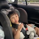 산골무지개 | 일정 코스 대만 예스진지 투어 추천 시먼딩 야시장 무지개 횡단보도 시먼딩 야시장 아종면선 시먼홍러우