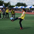 금포초등 이미지