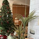 수원-0198 이미지