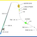 벵어돔 낚시 체비 응용 이미지