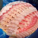 충청도청주횟집 | 🐟 충청도 방어 맛집 BEST 5! 겨울 제철 대방어회 꼭 먹어야 하는 이유와 가격은?