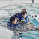 캠프도고 이미지