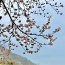 노량나루터 공원 네이버블로그