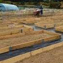 최창호농장 이미지