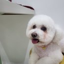 몽앤쥬 네이버블로그
