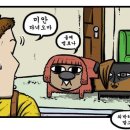 돈돼지 이미지
