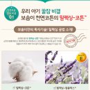코튼맘