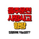 음주운전 사망사고 형량 , 집행유예 가능할까? 처벌 수위 총정리! 이미지