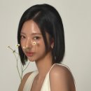 청초 - 의정부시 추동로108번길 17 | 청초
