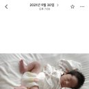 센티블라썸 | 네츄럴블라썸 기저귀 후기 둘째까지 쓰는 이유 (내돈내산)