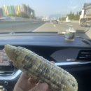 도황선산곱창(완산점) | 전주 2박3일