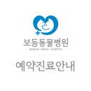 보듬동물병원 이미지