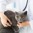 서울하이동물의료센터 이미지