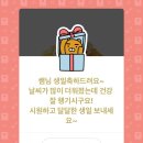 별빛하루 이미지