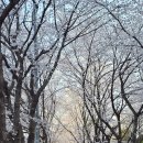 봉황교 주차장 이미지