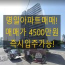 명일아파트 | 【아파트매매】모현동명일 14층 매매!