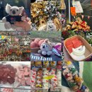 시드니 | 시드니 패디스마켓 후기 쇼핑리스트 추천(연어회와 납작복숭아 즐기기)