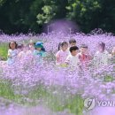 버들어린이집 이미지