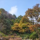 팔구농산 이미지