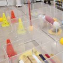 멍블리하우스 이미지