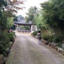 남도버스 이미지
