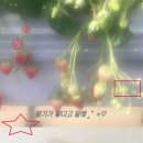 딸기밭