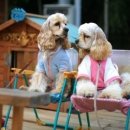 안녕하세요 이미지